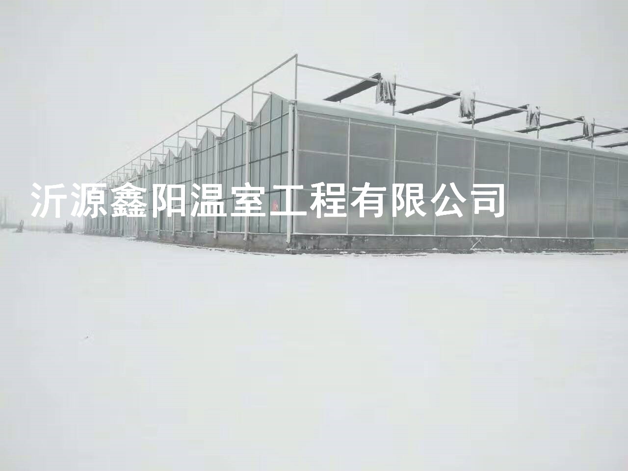 养殖大棚