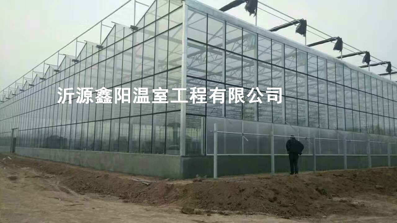 养殖大棚