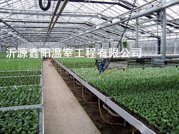 养殖大棚