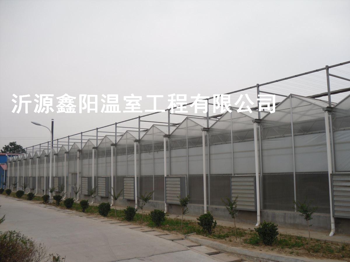 养殖大棚