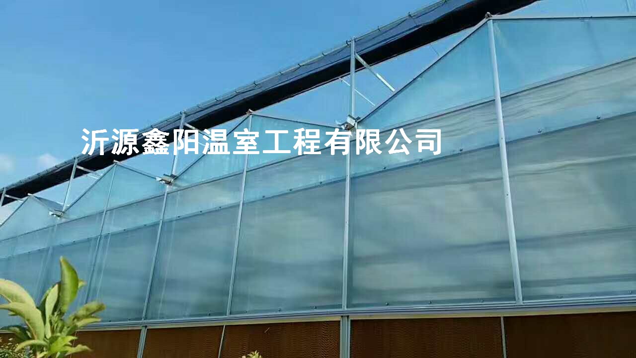 养殖大棚
