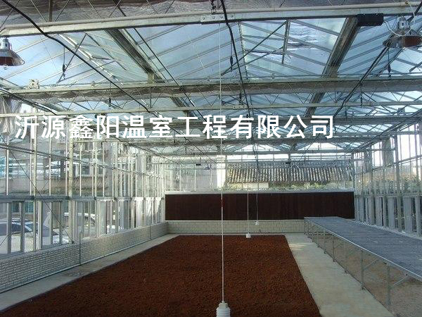 养殖大棚