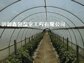 养殖大棚