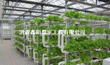 养殖大棚