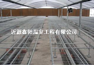 养殖大棚