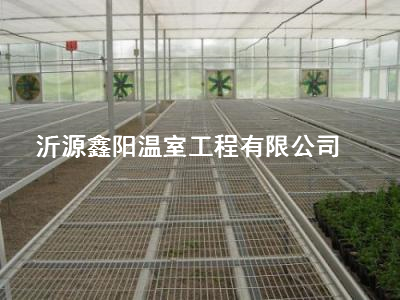 养殖大棚
