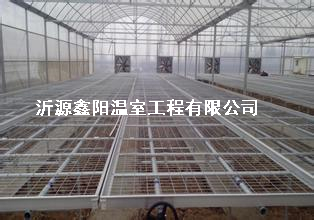 养殖大棚
