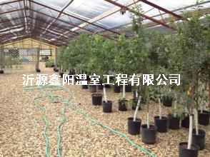 养殖大棚