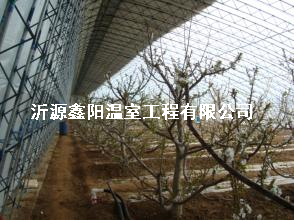 养殖大棚