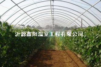 养殖大棚