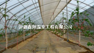 养殖大棚