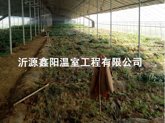 养殖大棚
