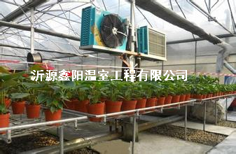 养殖大棚