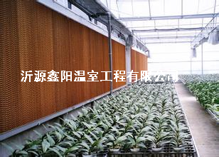 养殖大棚