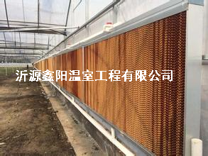 养殖大棚